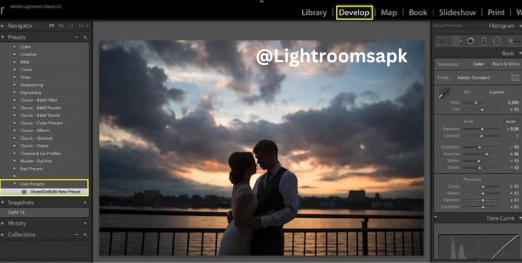 Adobe Lightroom Presets how to import